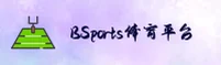 BSports(中国)官网