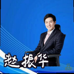赵振华